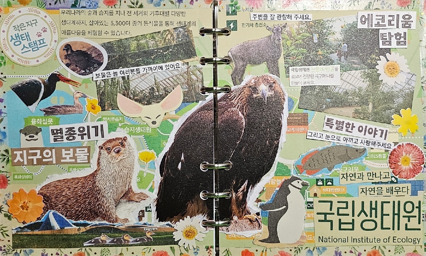 국립생태원 다꾸