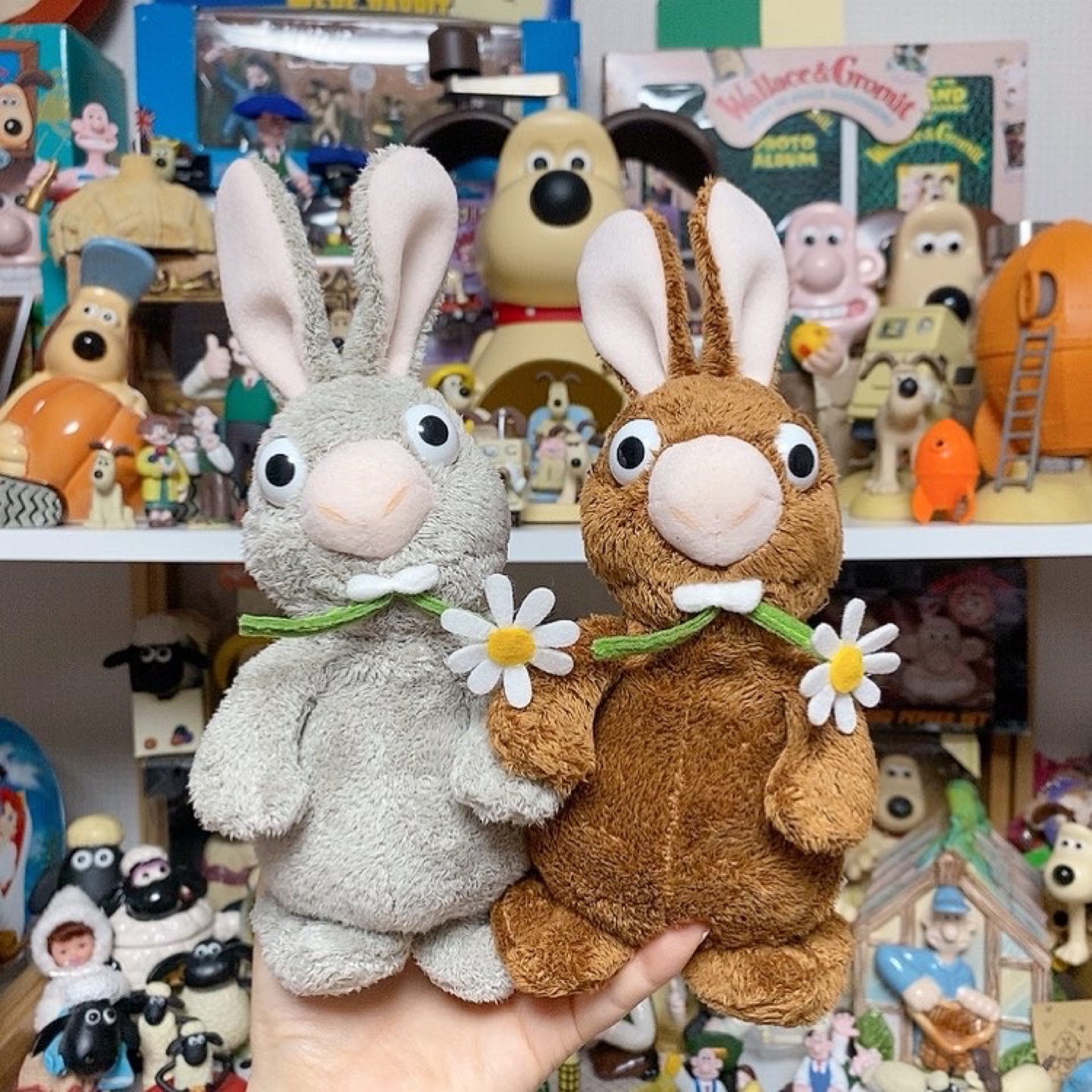 🐰🐽🥕🌼