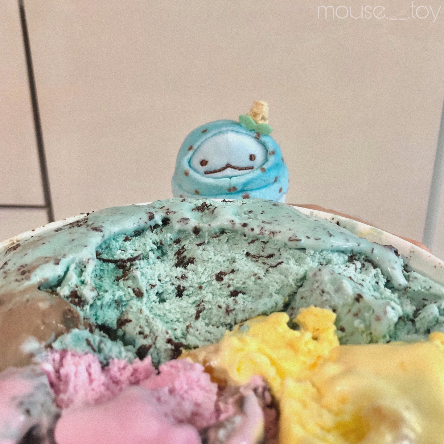 세계 정복은 민초가🌿