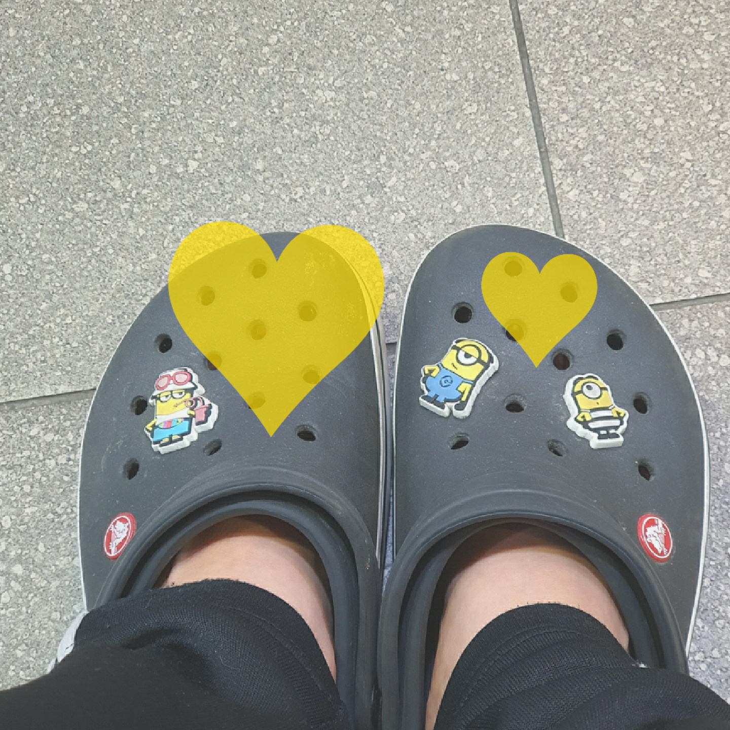 미니언 크록스