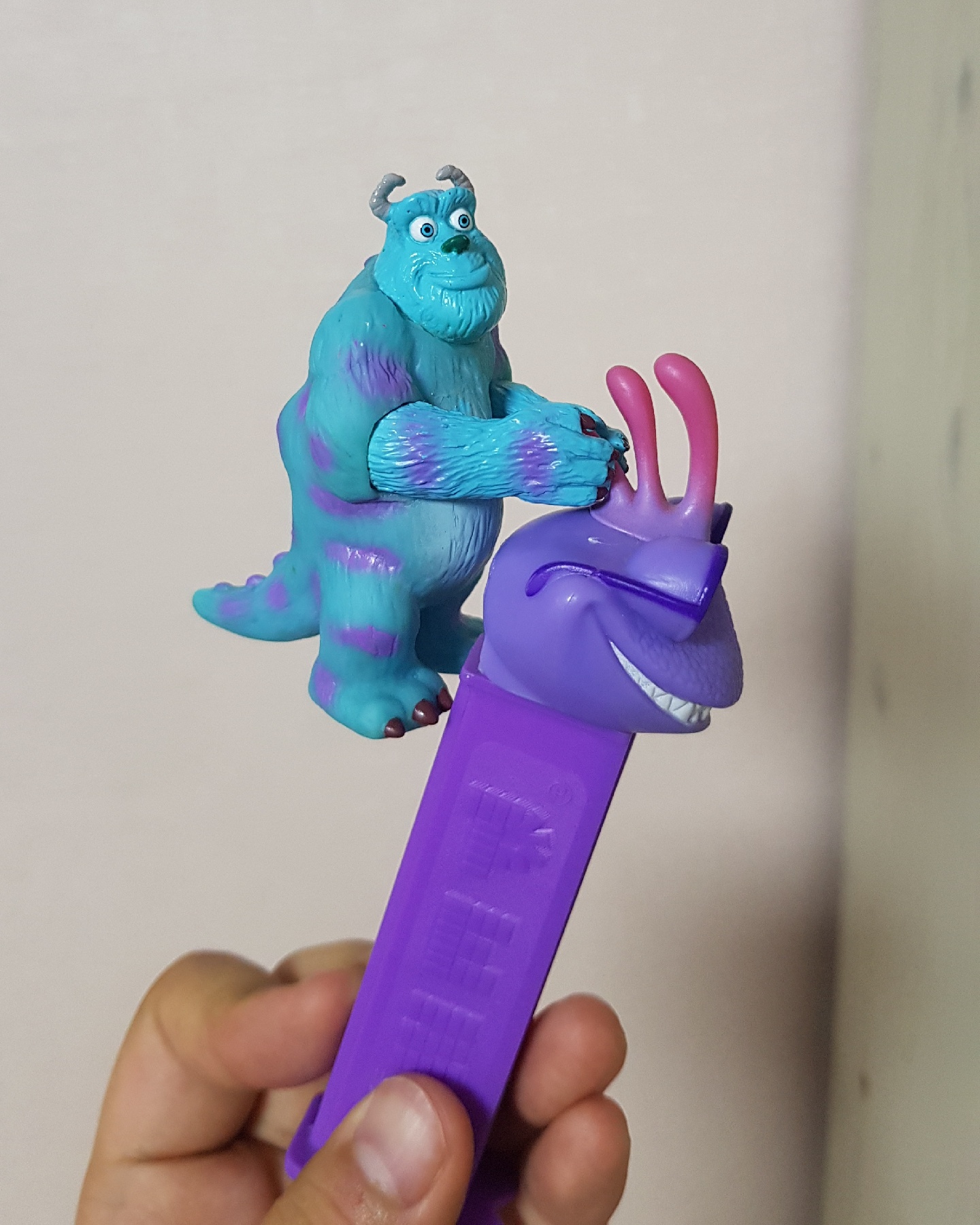 설리랑 랜달