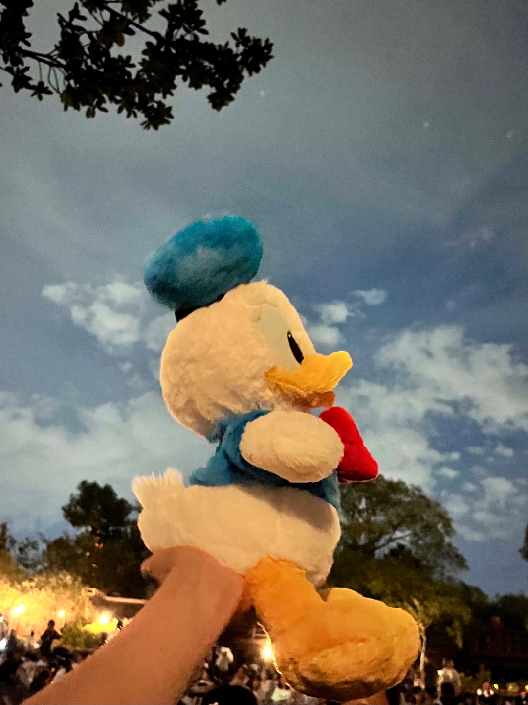 도날드 덕후의 최애 뽀송뽀송 도날드💙