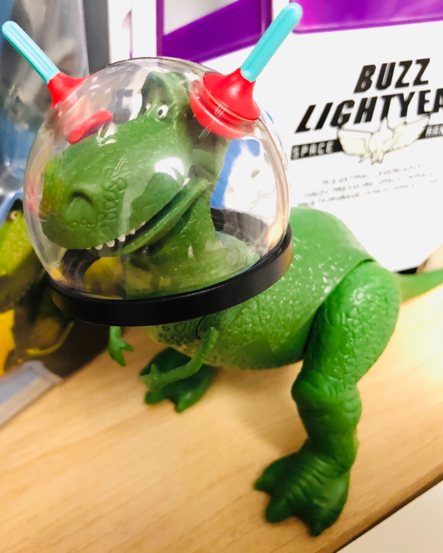 새로운 렉스 입주완료🦖
