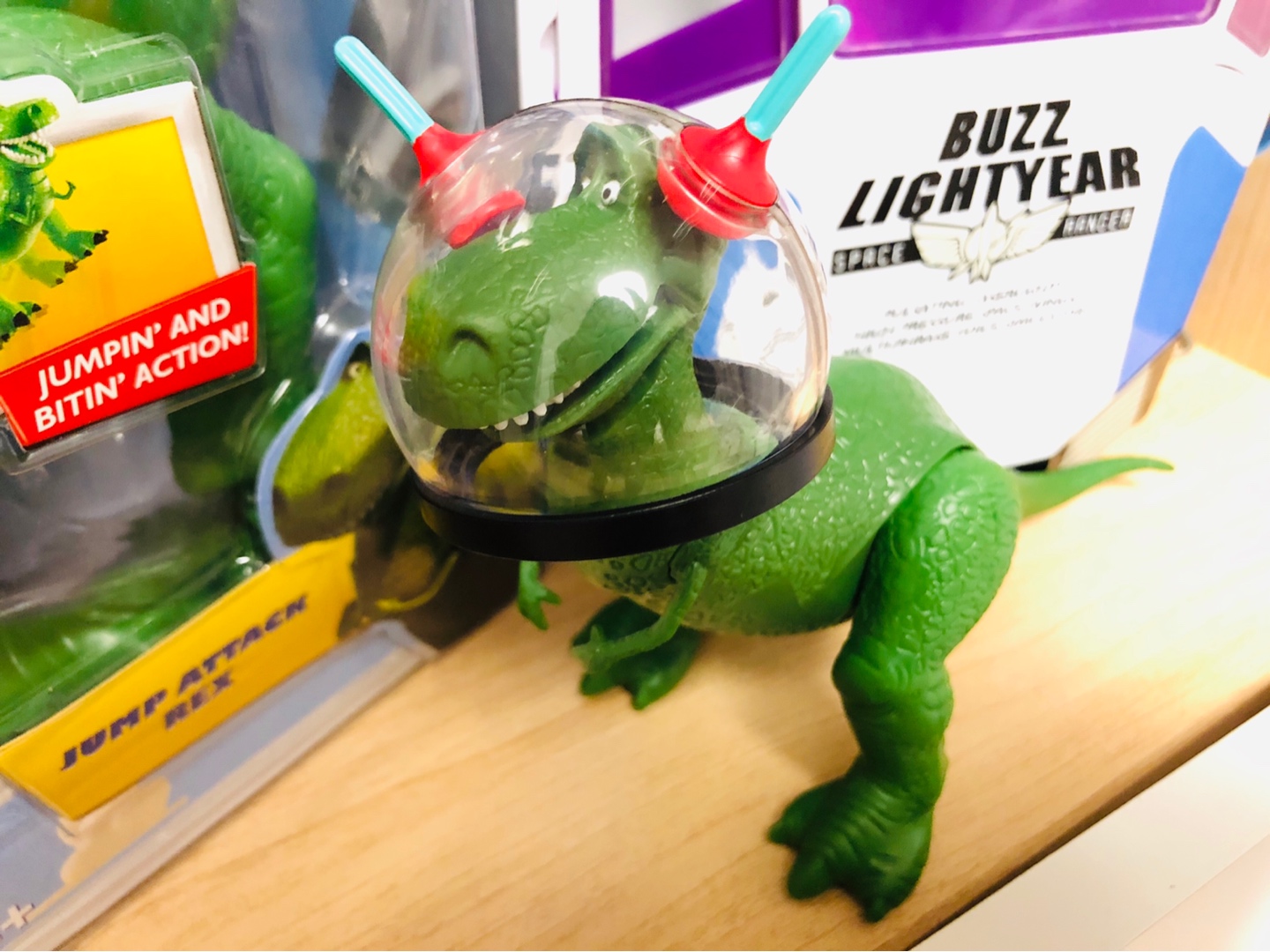 새로운 렉스 입주완료🦖