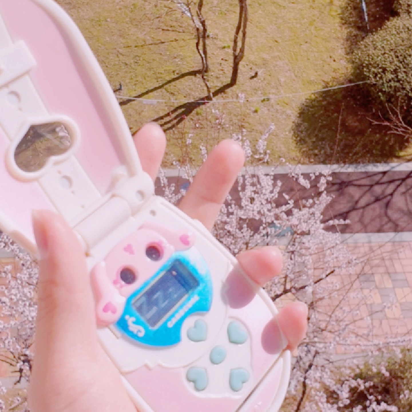 n년전 어느 봄날의 미플과 메플♡♥︎
