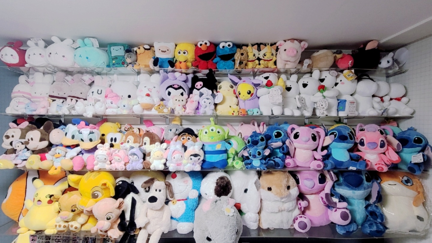 뽀송뽀송 컬렉션🧸💖