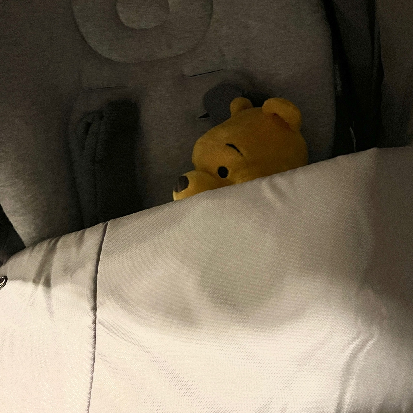 디즈니스토어 푸 인형💛