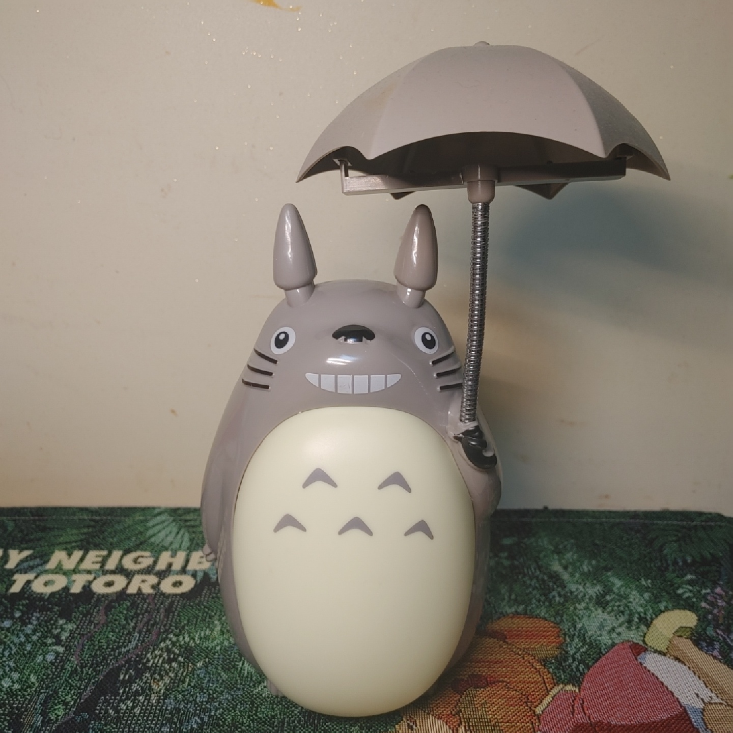 토토로🌧️☂️