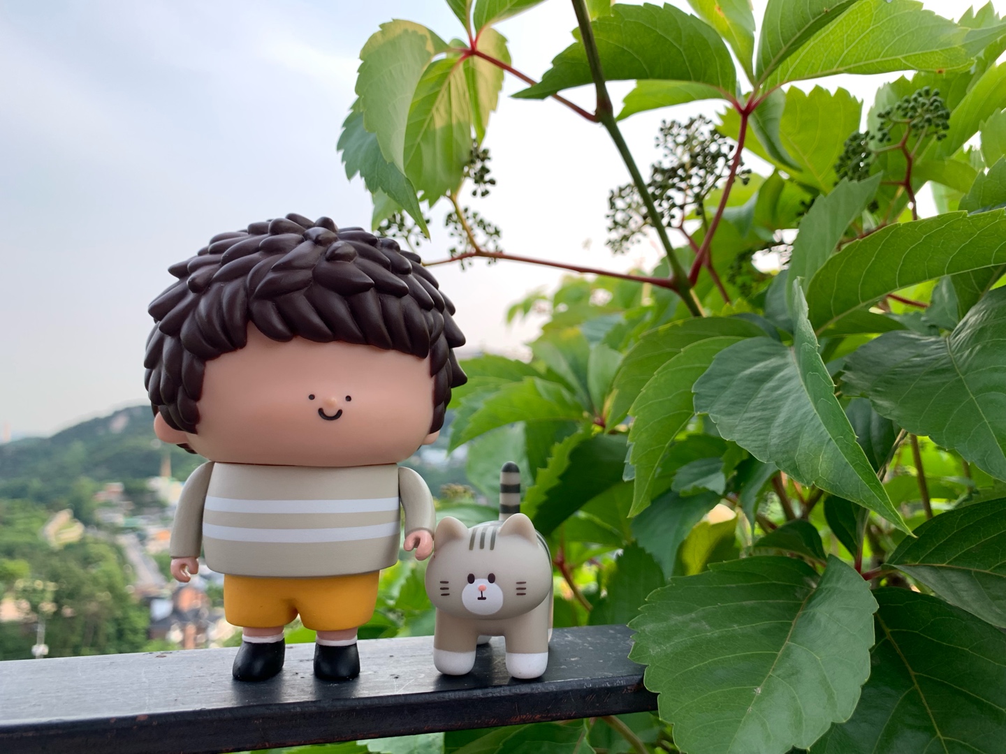 플러피하우스