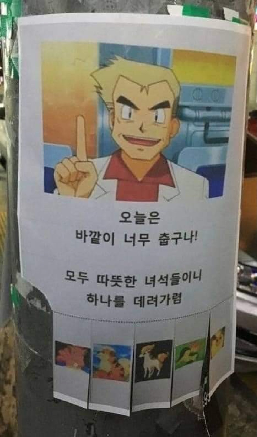 어서오렴 오늘은 바깥이 너무 춥구나🥶
모두 따뜻한 녀석들이니 하나를 데려가렴🔥