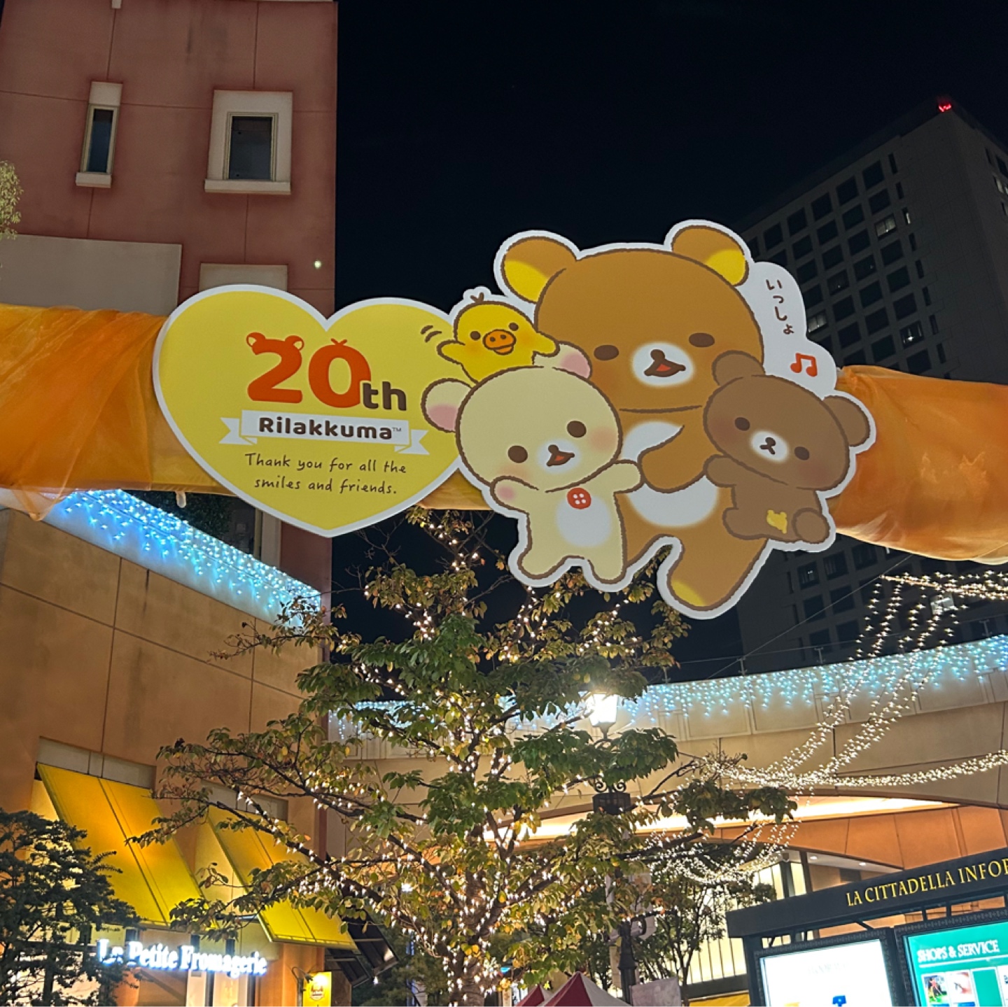 🐻리락쿠마 20주년 🐻
