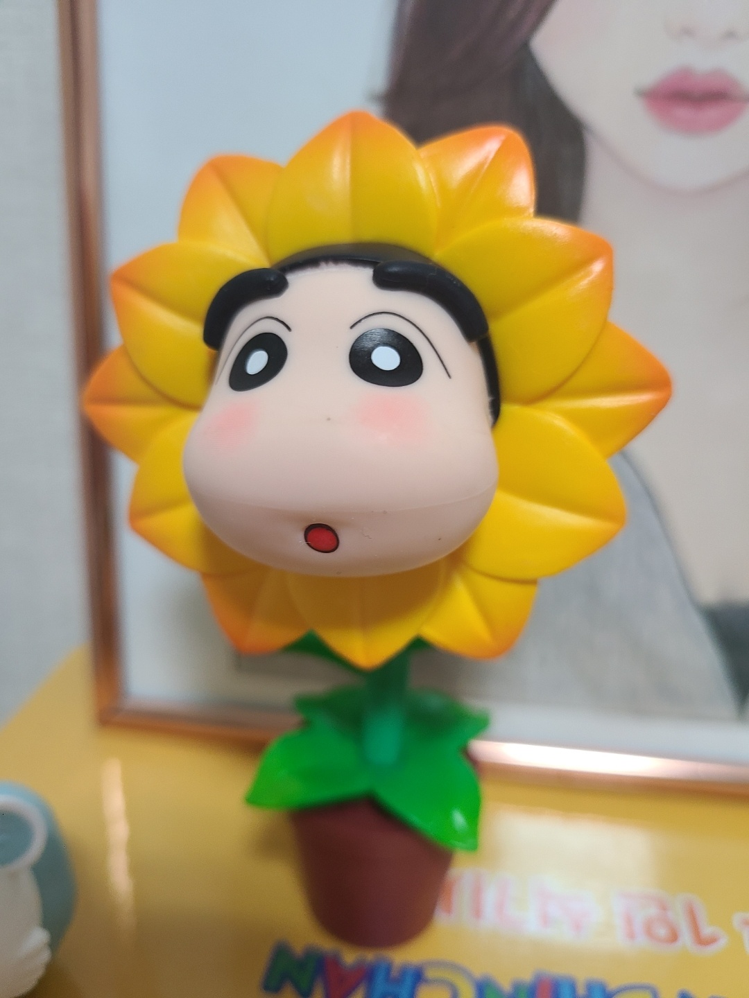 해바라기짱구
