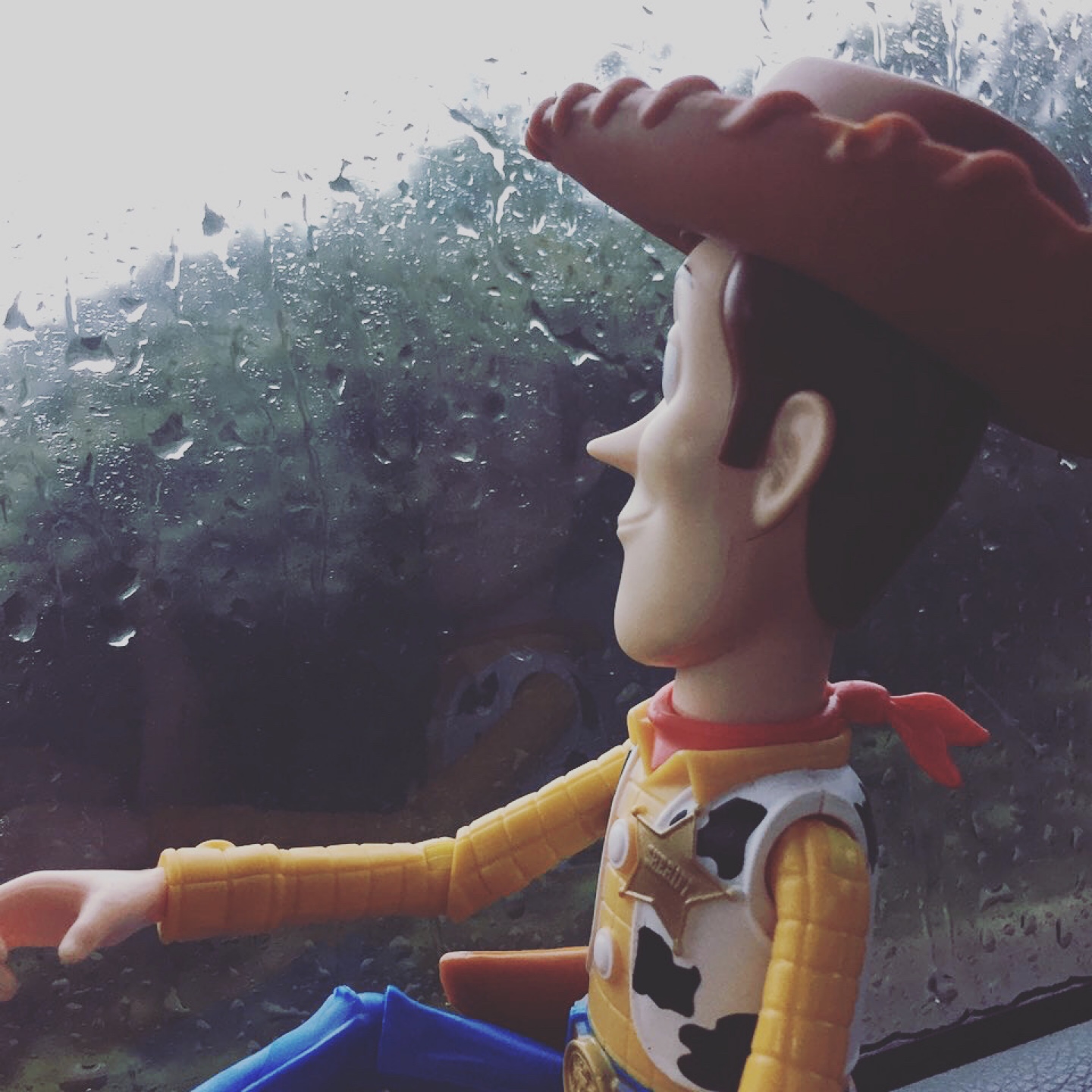 우디⭐️