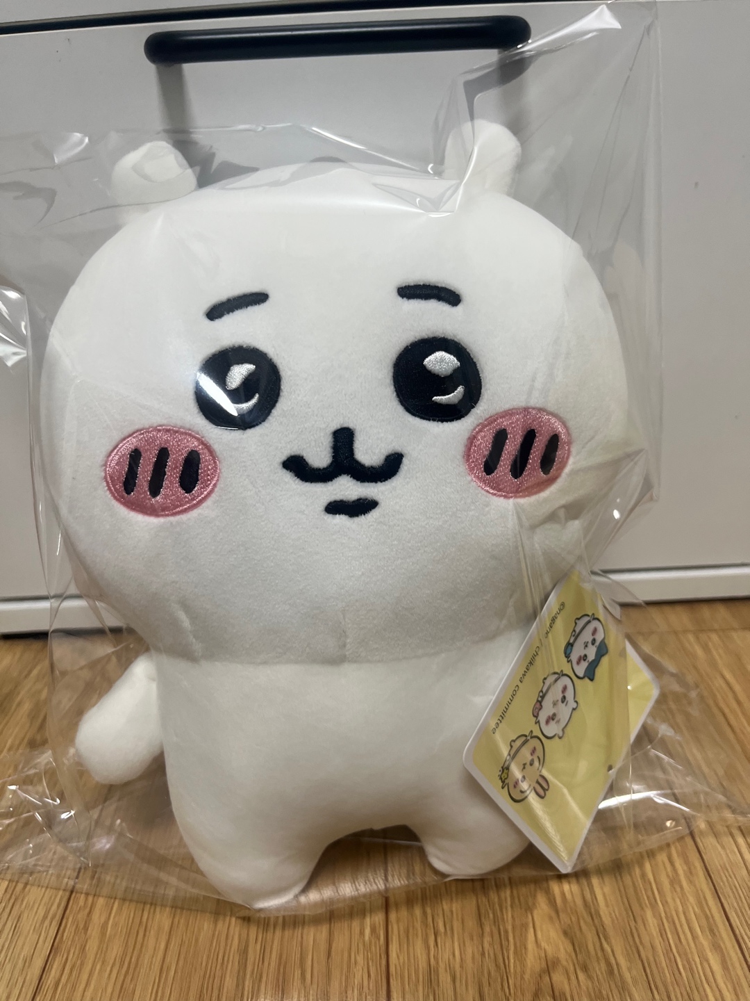 치이카와 ㄱㅇㅇ 💛