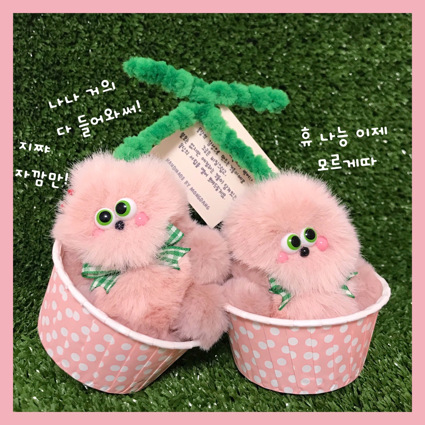 🍒체리 쌍둥이🍒