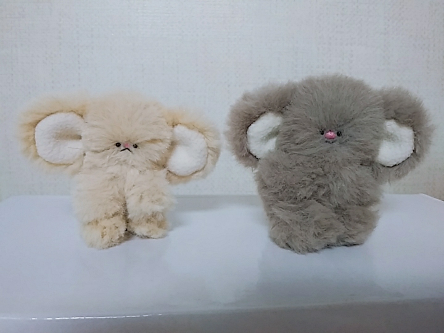 꾀죄죄한 작은 숲 부드러운 쥐색 노경자 😍