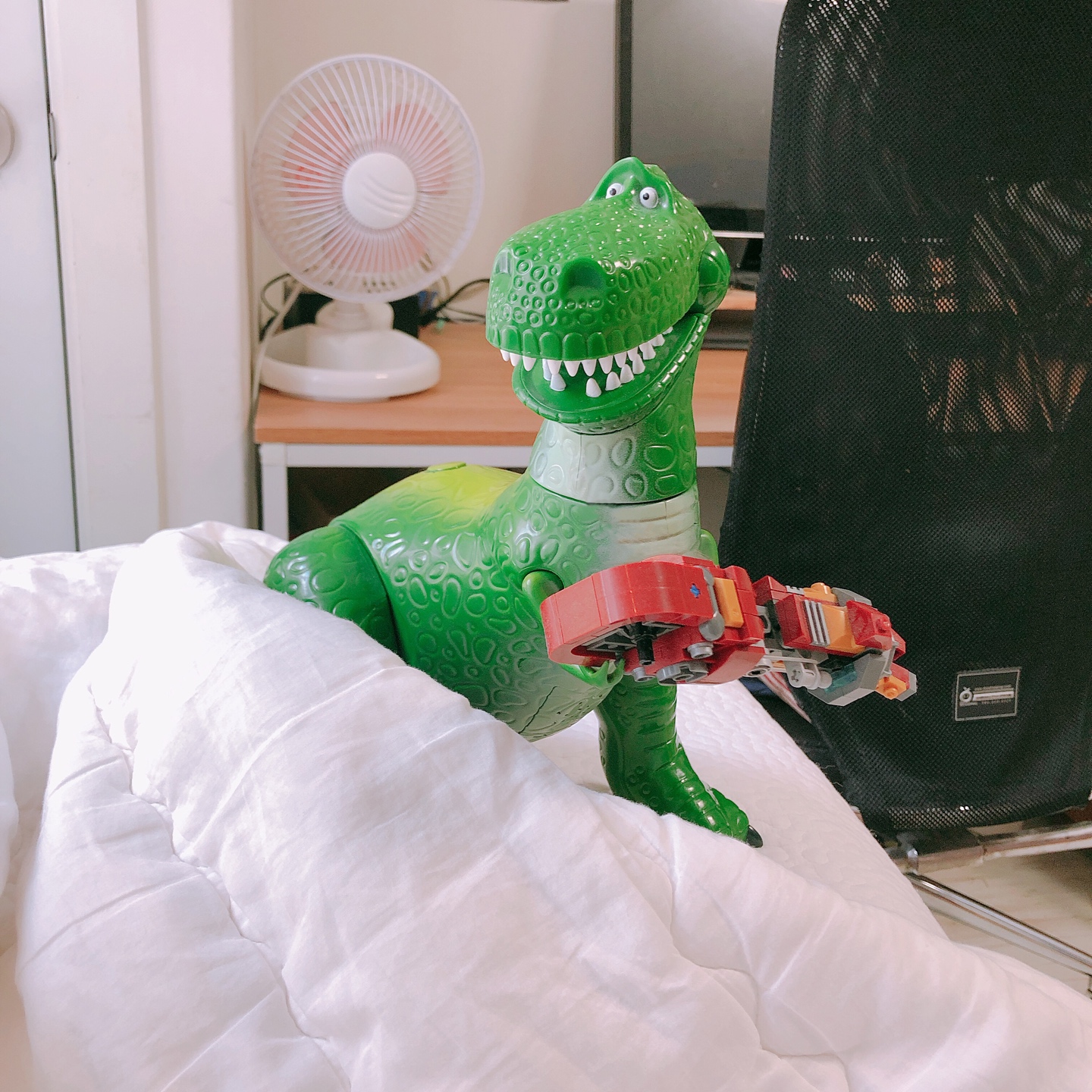 잠깐만! 동작 중지...