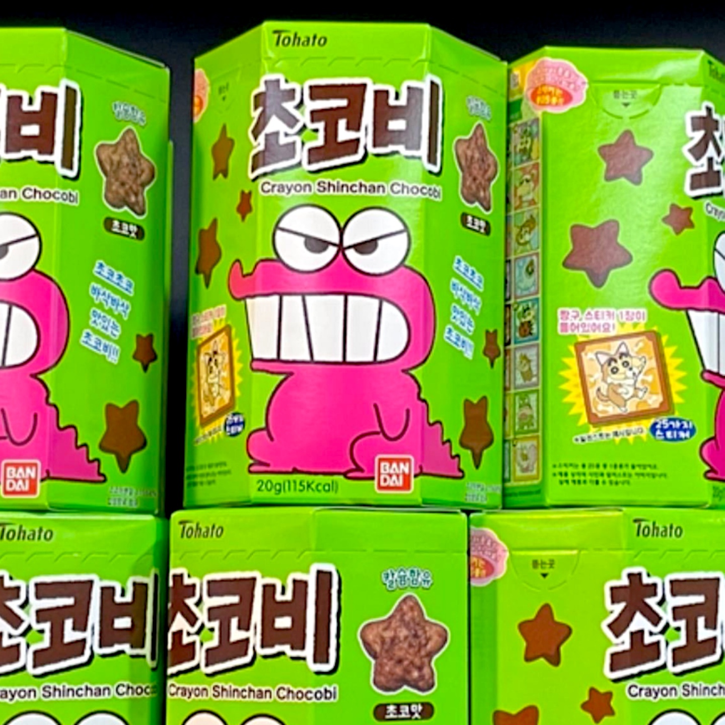 초코비 🔥