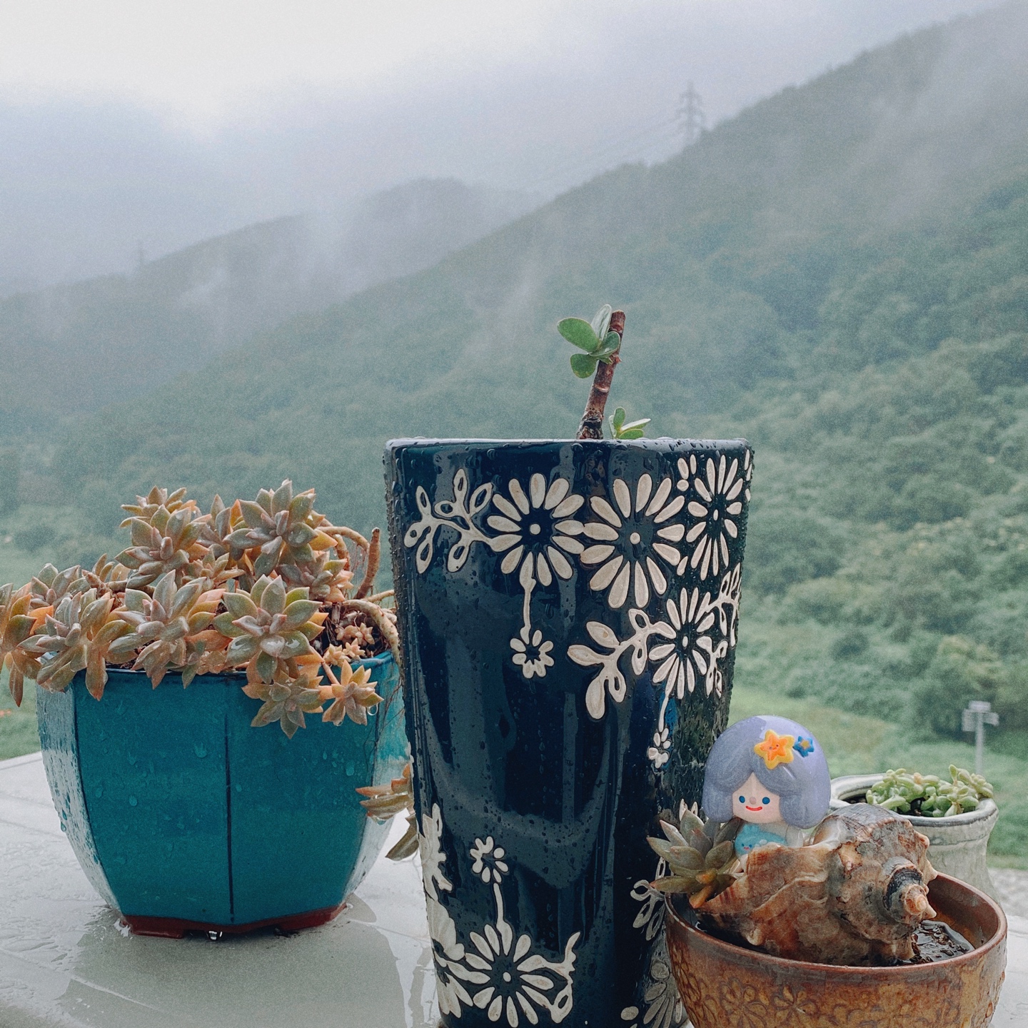 해피씨