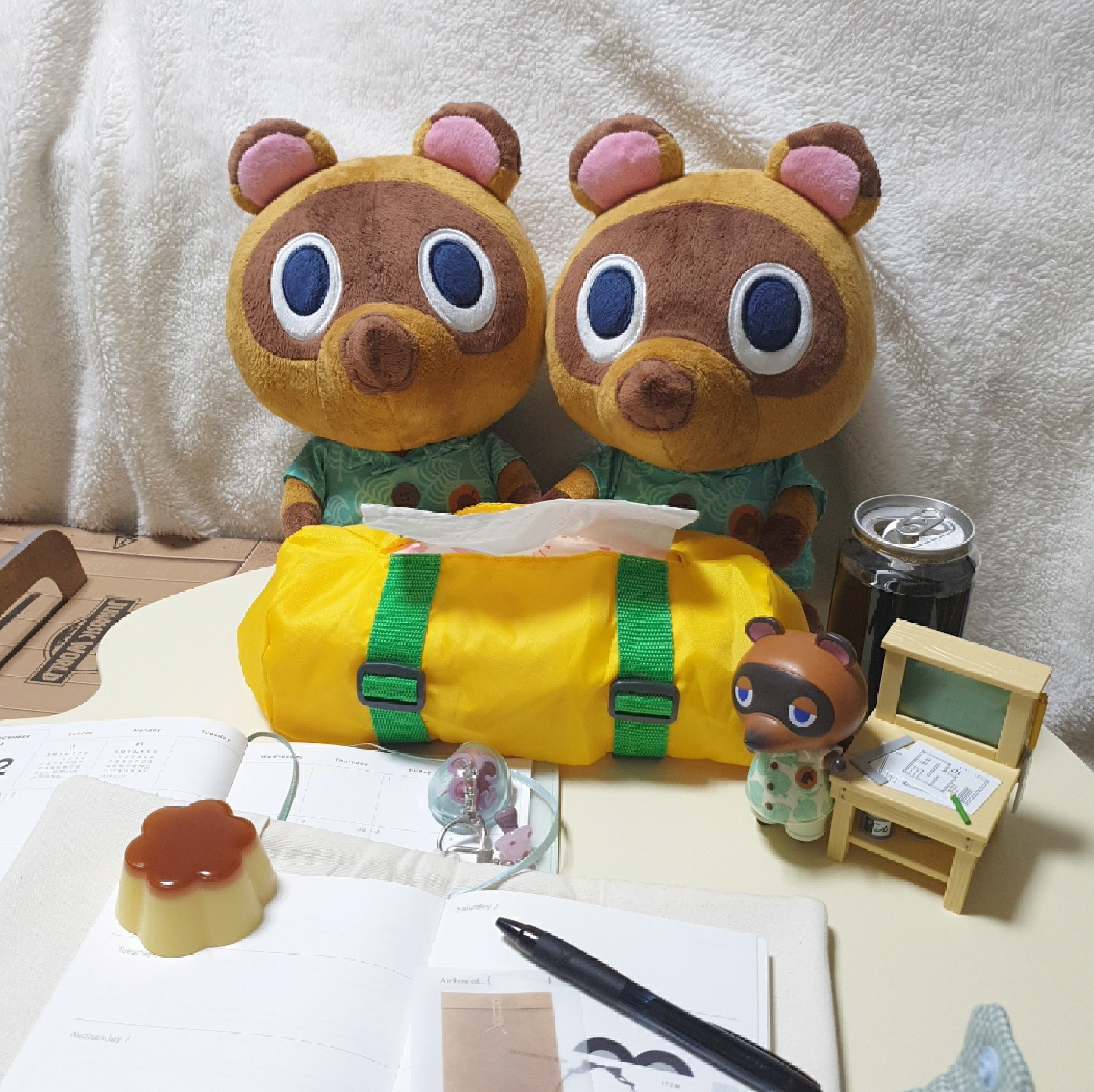 🦝 콩돌밤돌 🌰
