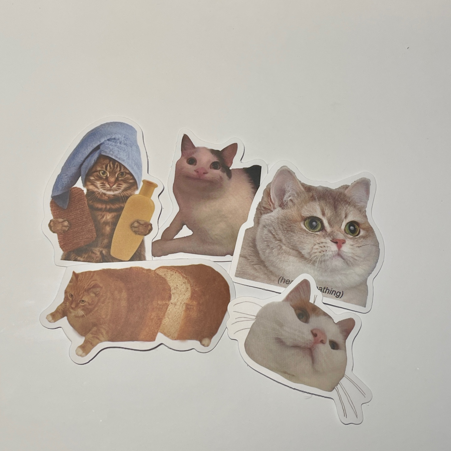 🩵덕친마켓 거래후기🩵