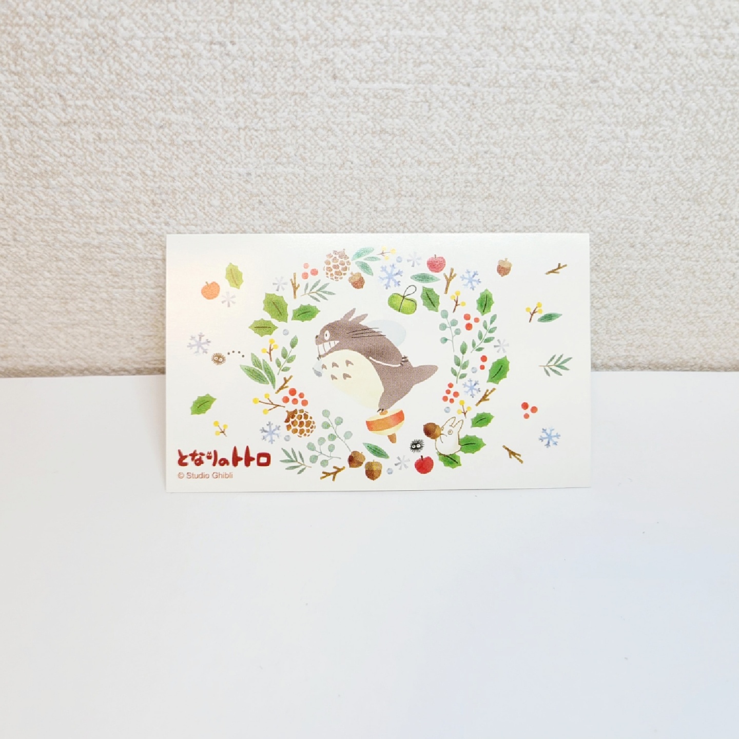 🌰동구리 공화국의 포장🌰