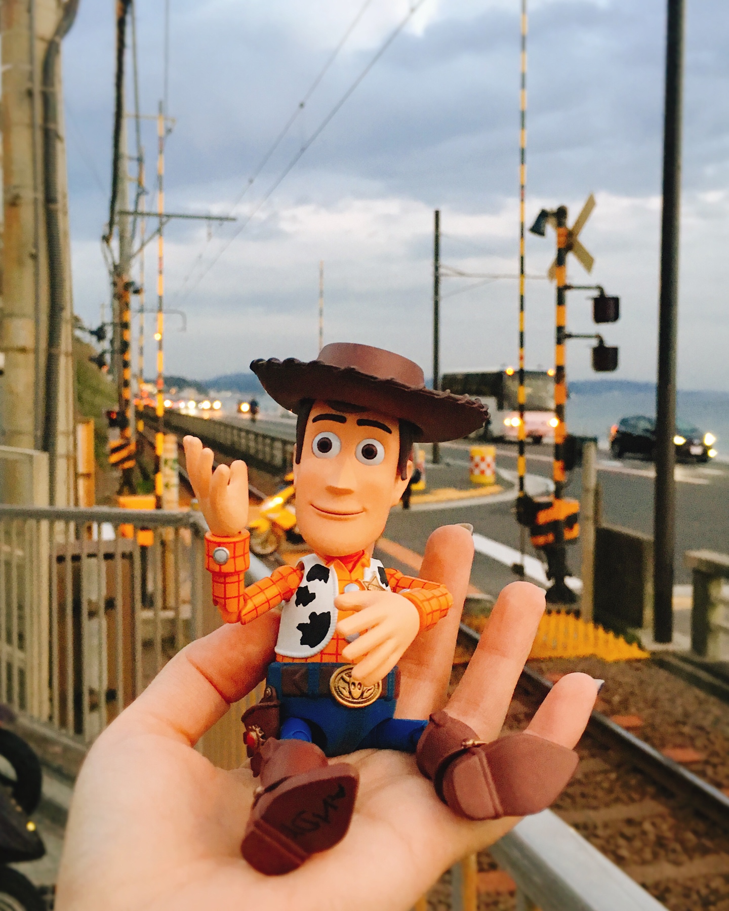 WOODY