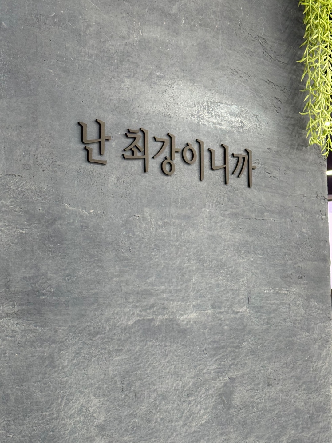 사또루 생카🩵