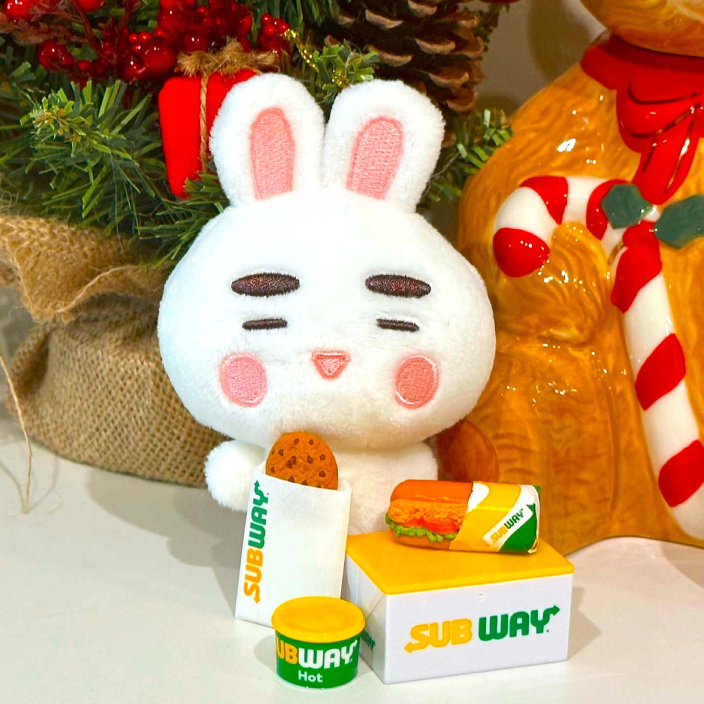 찡구왕🐰