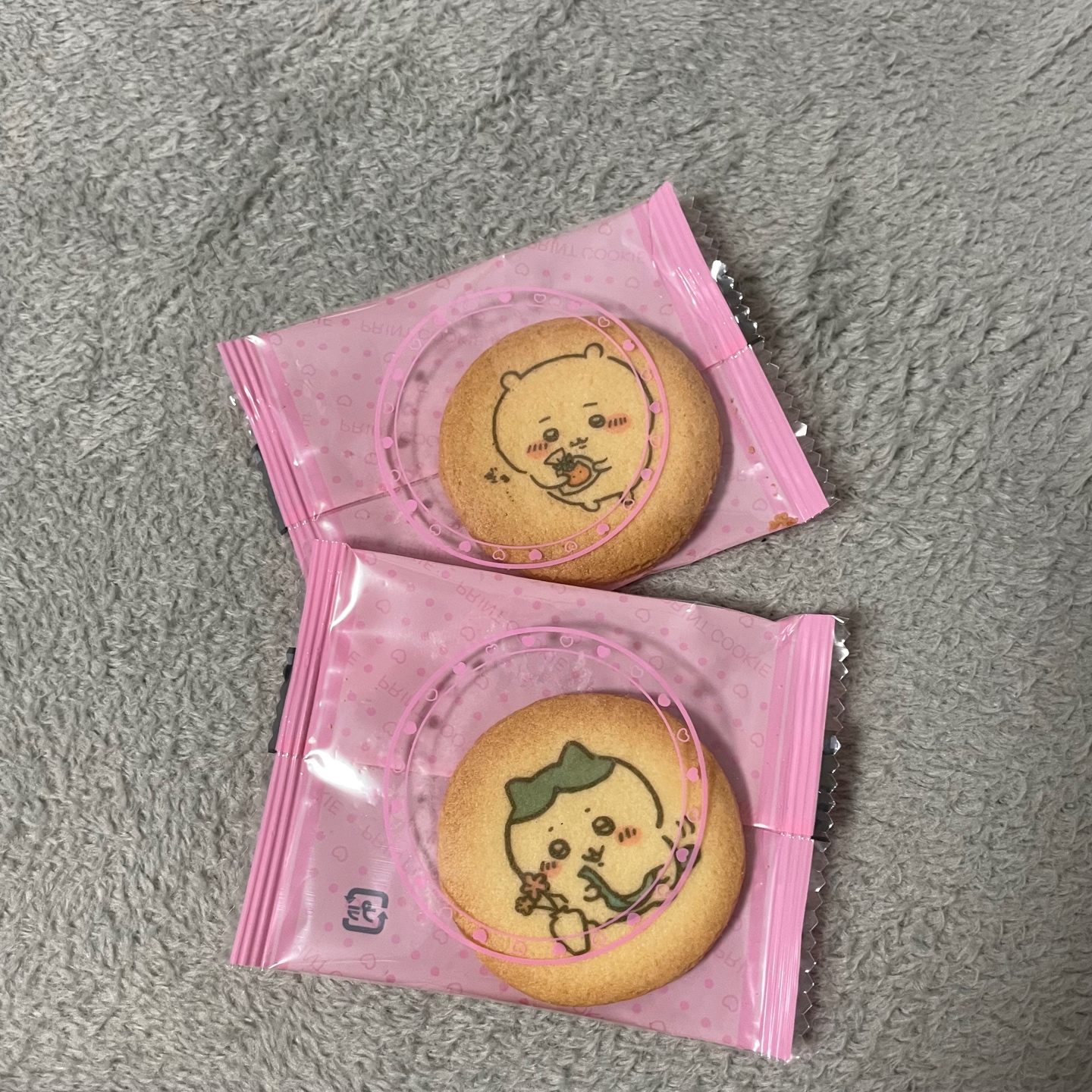 치이카와 쿠키🍪