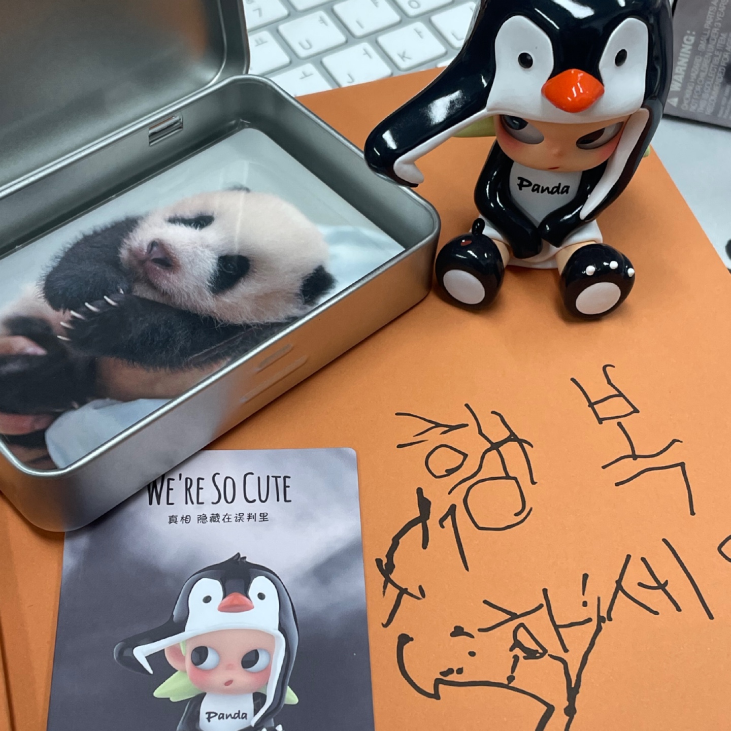 지거큐트시리즈 : 정체를 착각한 판다🐧🐼