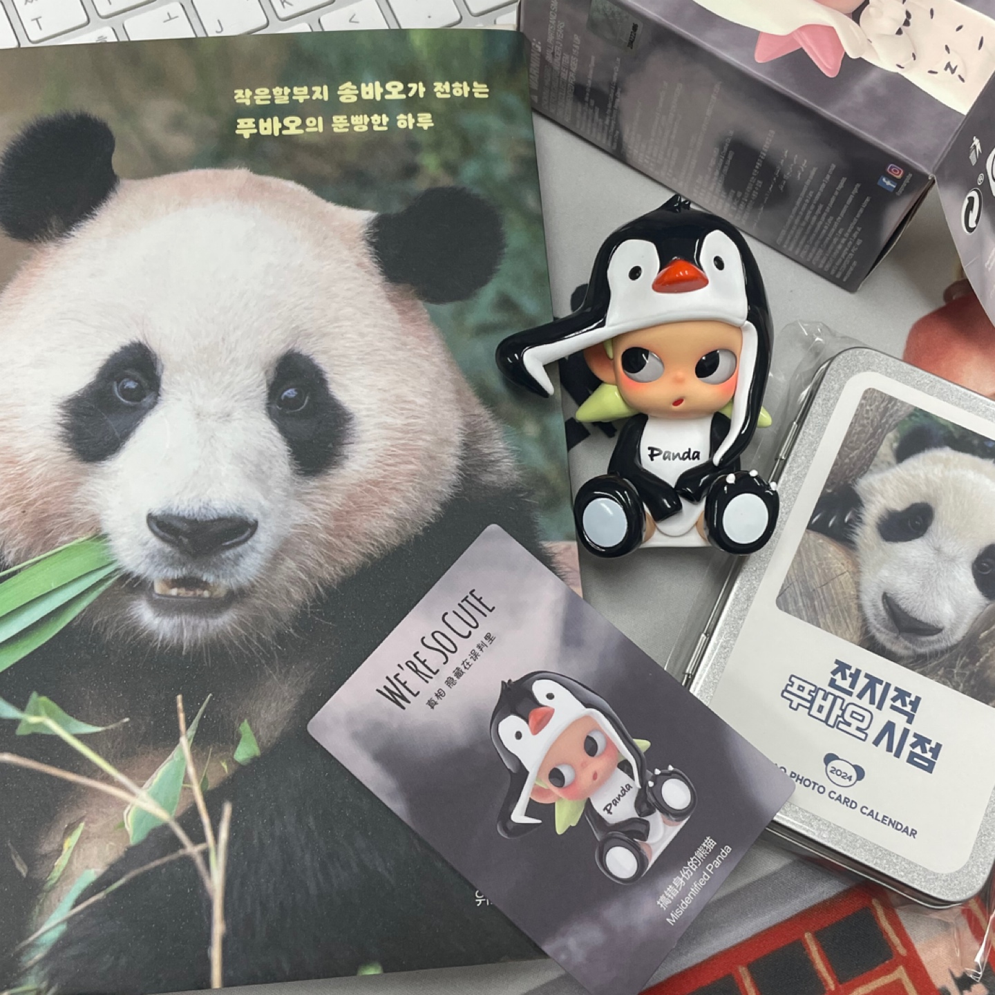 지거큐트시리즈 : 정체를 착각한 판다🐧🐼