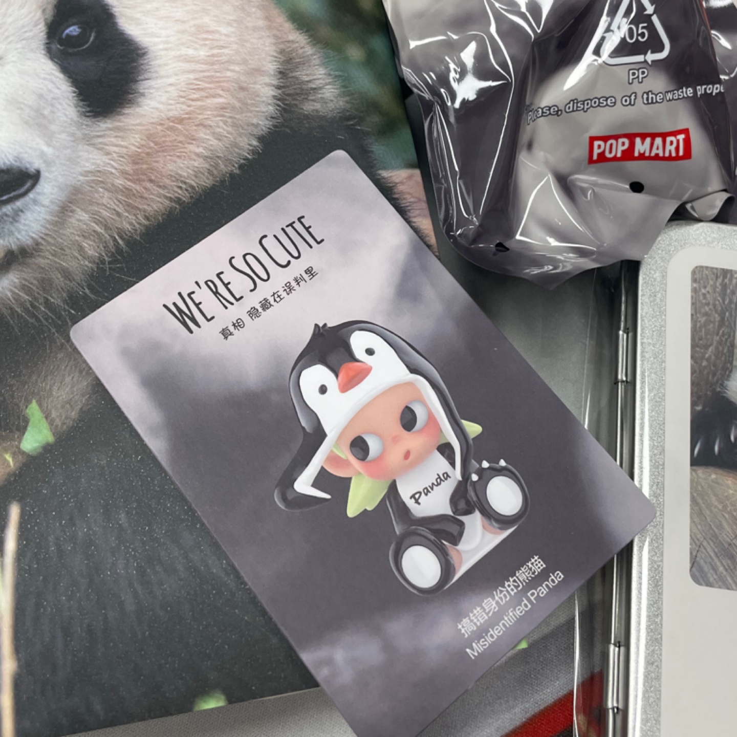 지거큐트시리즈 : 정체를 착각한 판다🐧🐼