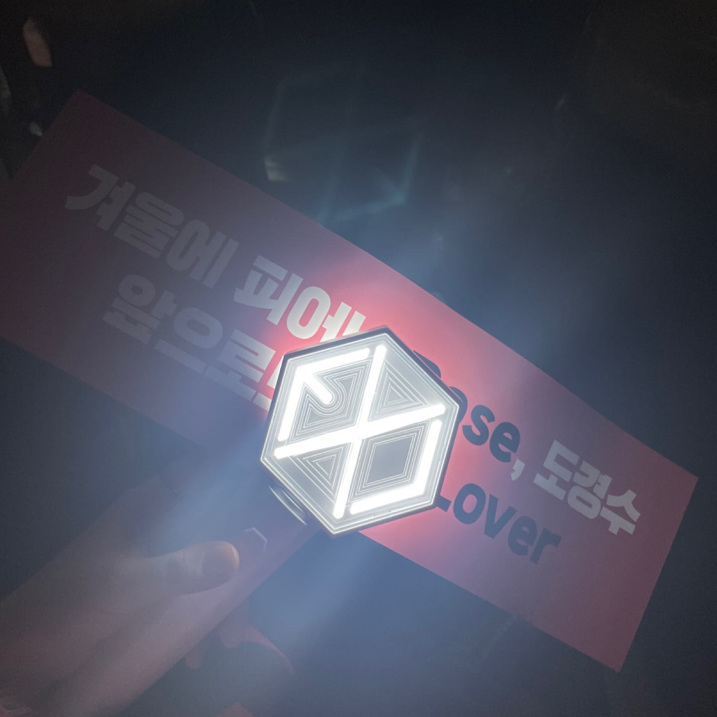 엑소(D.O.)덕질 채고 잼나는 에리👉🏻