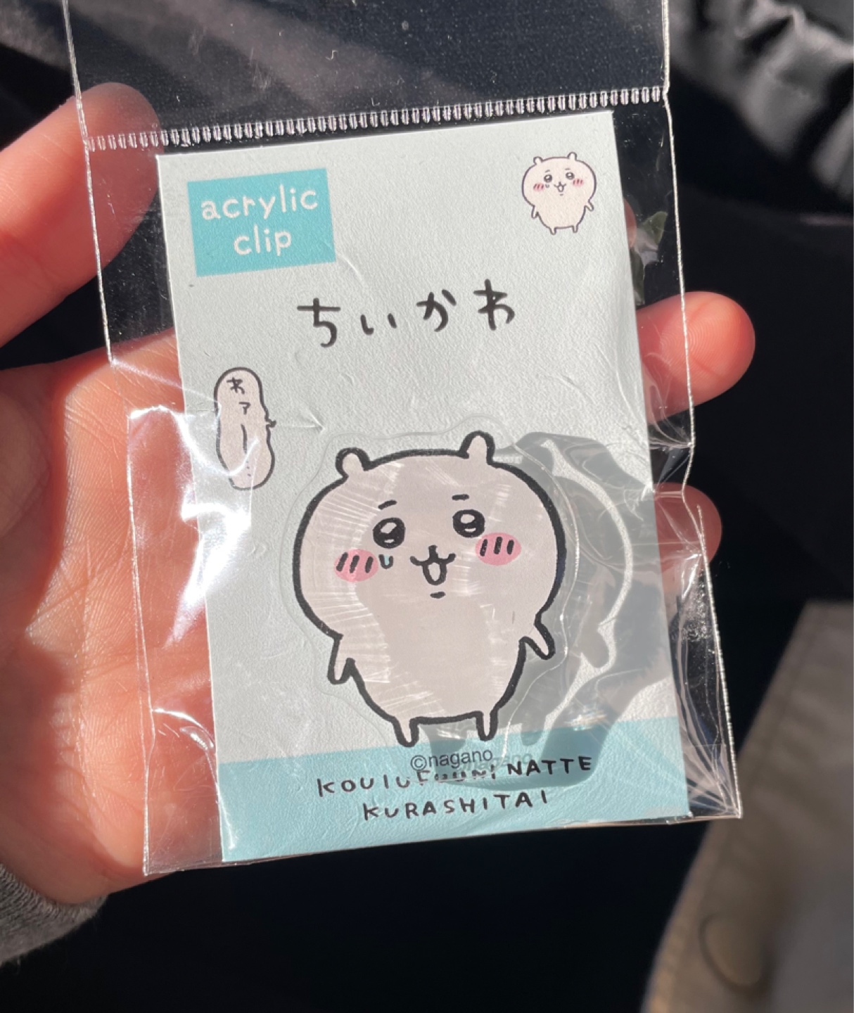 치이카와❤️