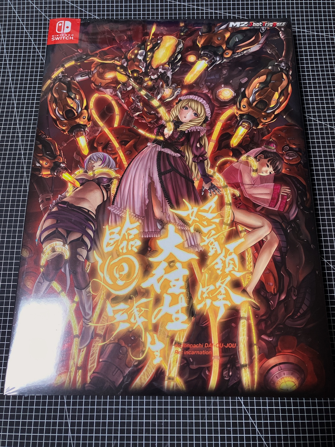 怒首領蜂大往生 臨廻転生
DoDonPachi Dai-Ou-Jou Re:incarnation
도돈파치 대왕생 임회전생