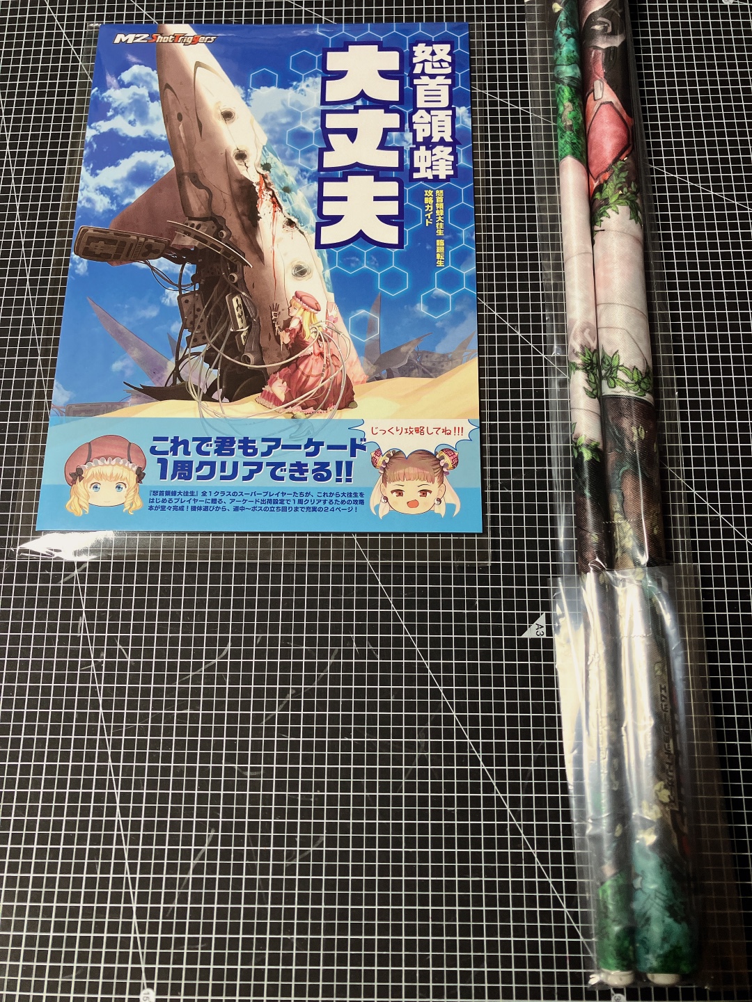 怒首領蜂大往生 臨廻転生
DoDonPachi Dai-Ou-Jou Re:incarnation
도돈파치 대왕생 임회전생