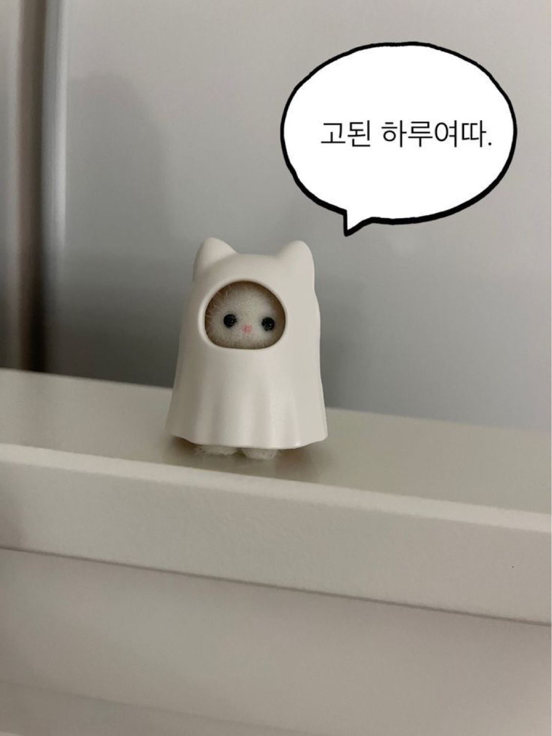 너 좀 귀엽..다?💭