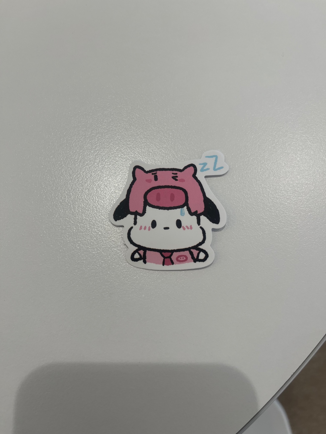 최애 유튜버 일주어터가 생각나는 포차코🐶