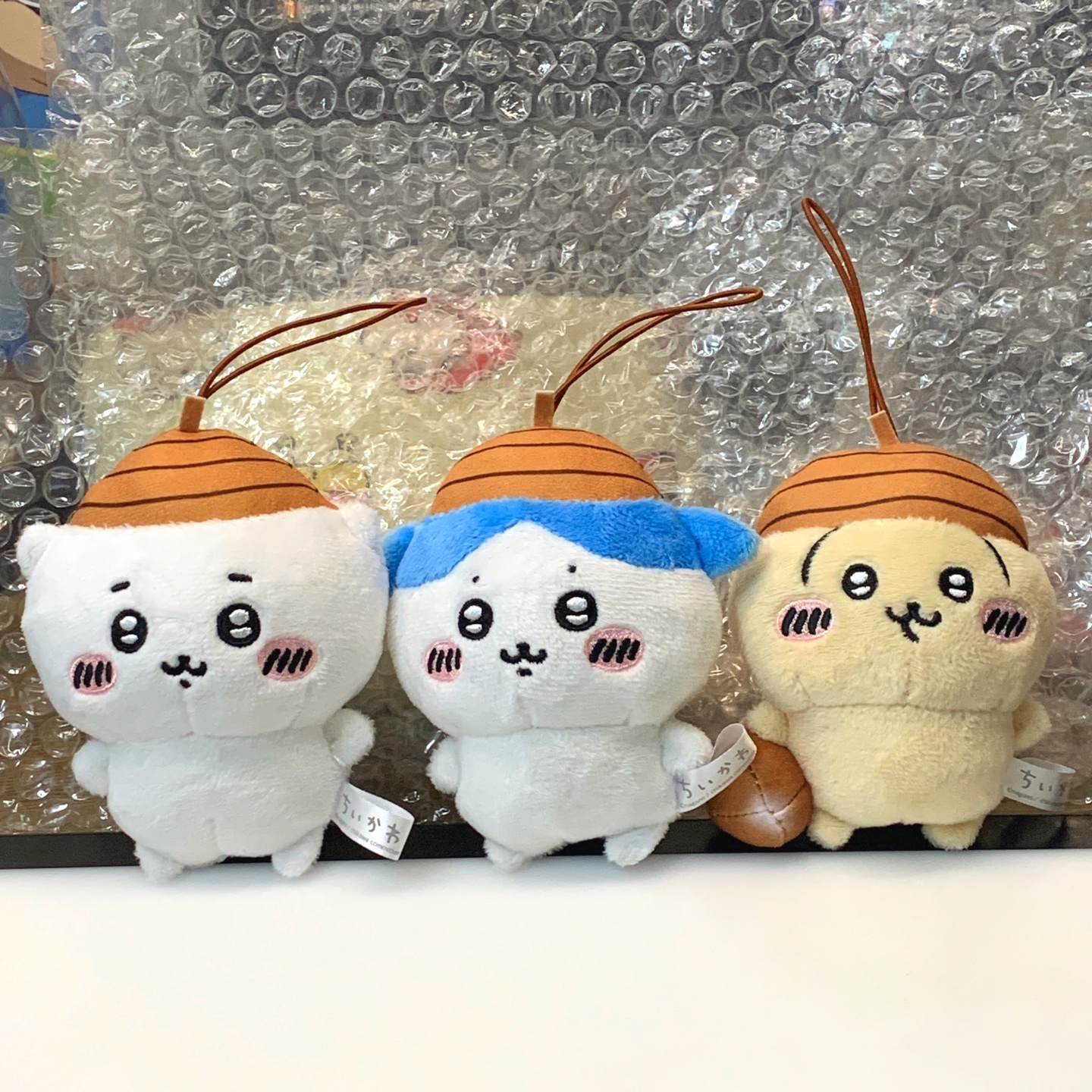 치이카와 도토리즈