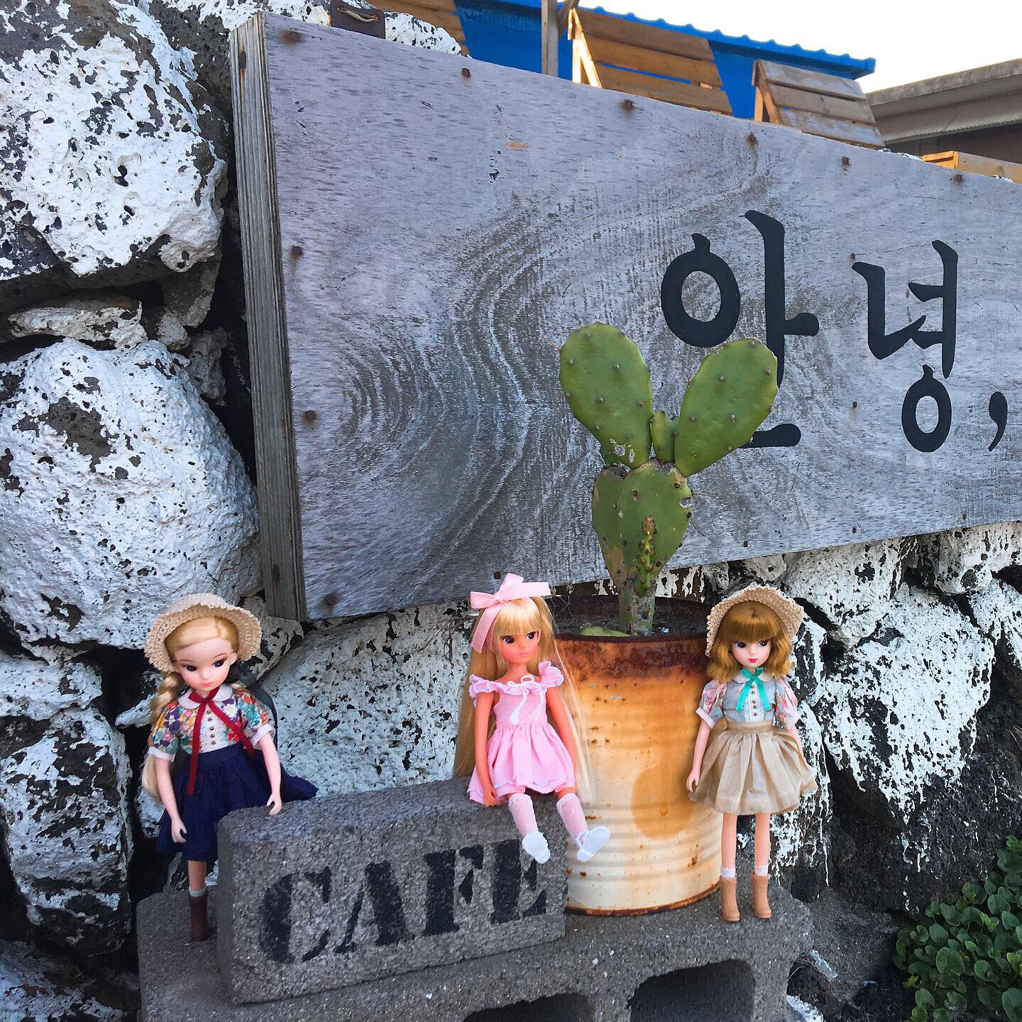 제주여행 🏝