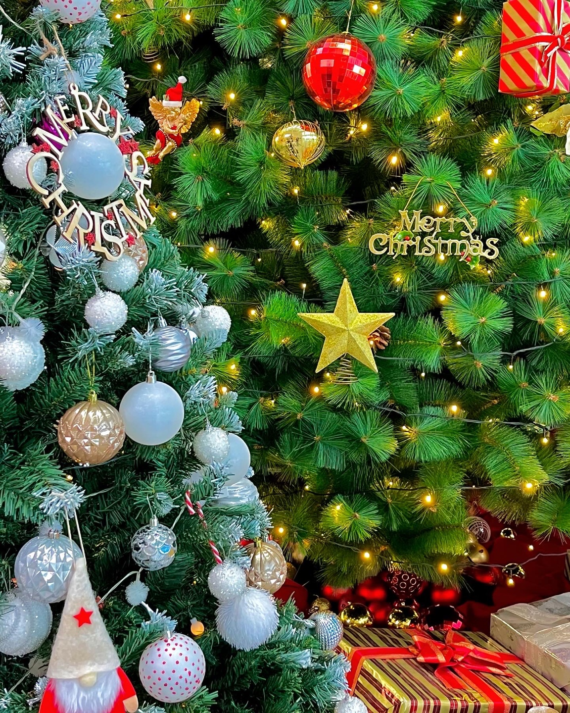 🎄아깽이 3 마리를 찾으시오