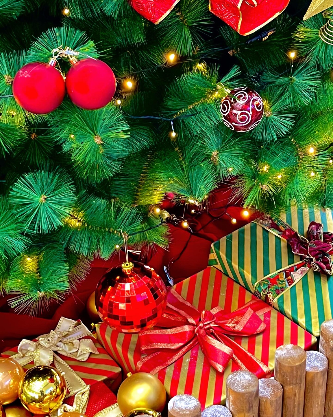 🎄아깽이 3 마리를 찾으시오