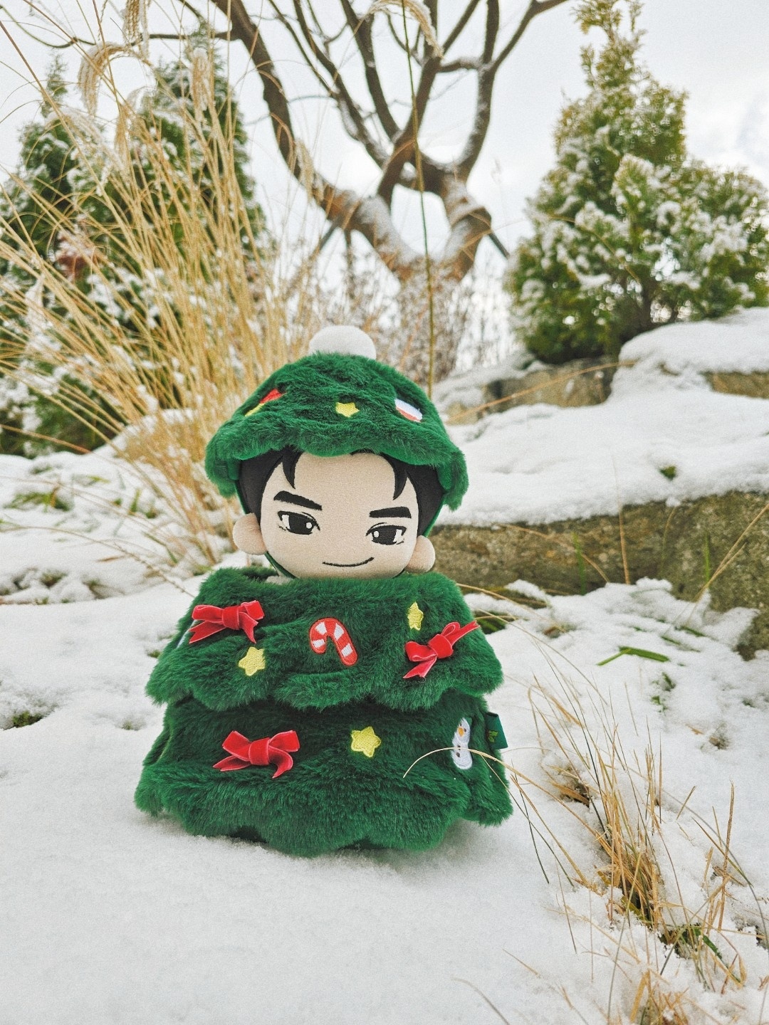 🎄트리소륙🎄