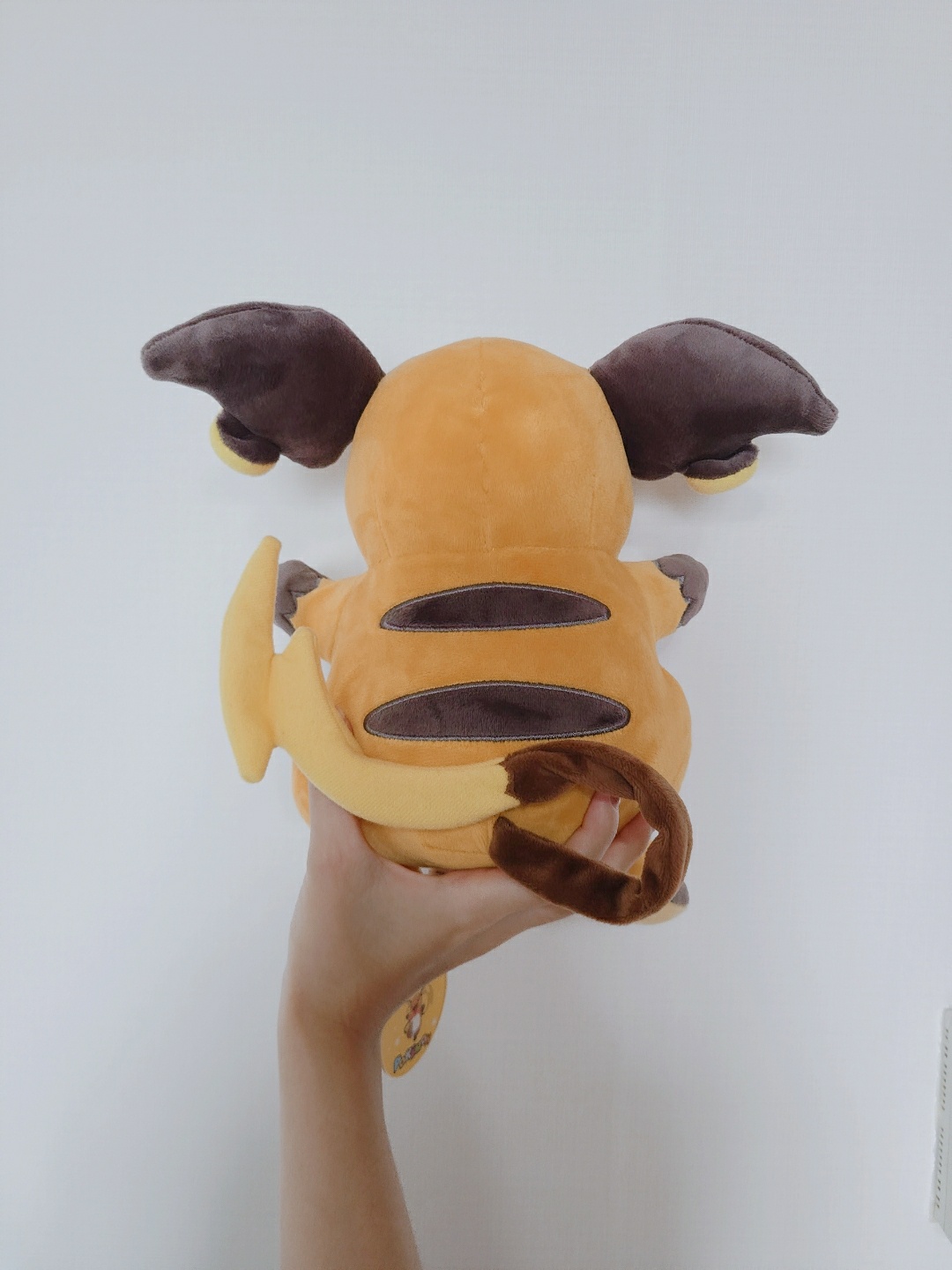 라이츄 봉제인형🐱🐱