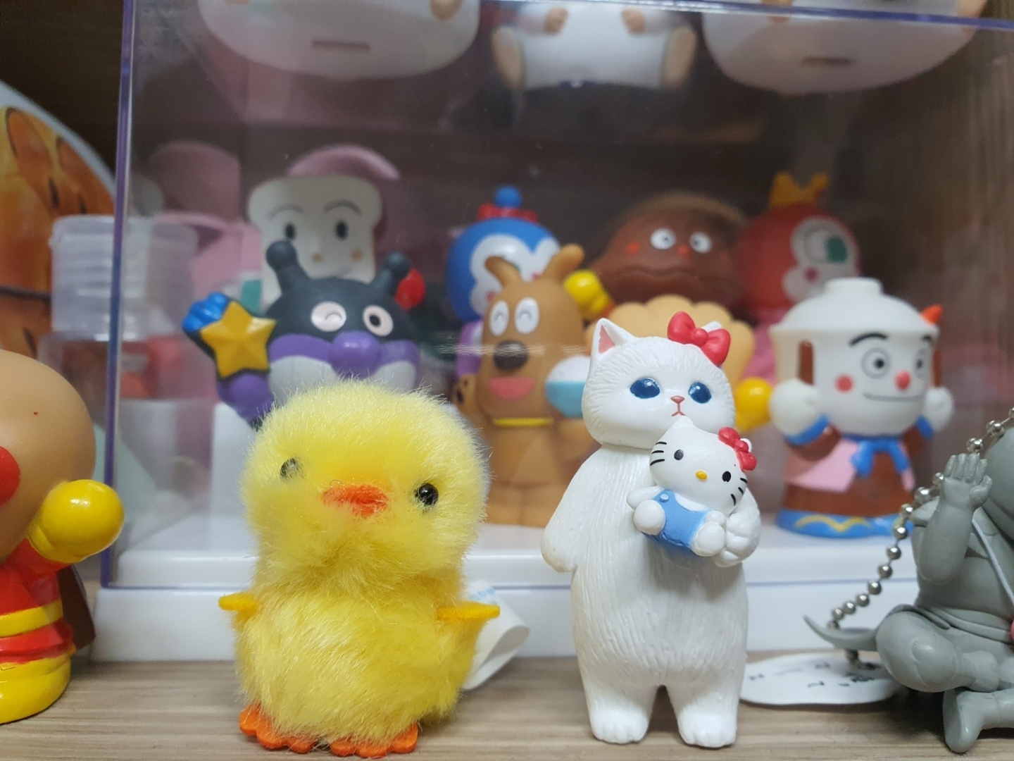 키티 모후💕