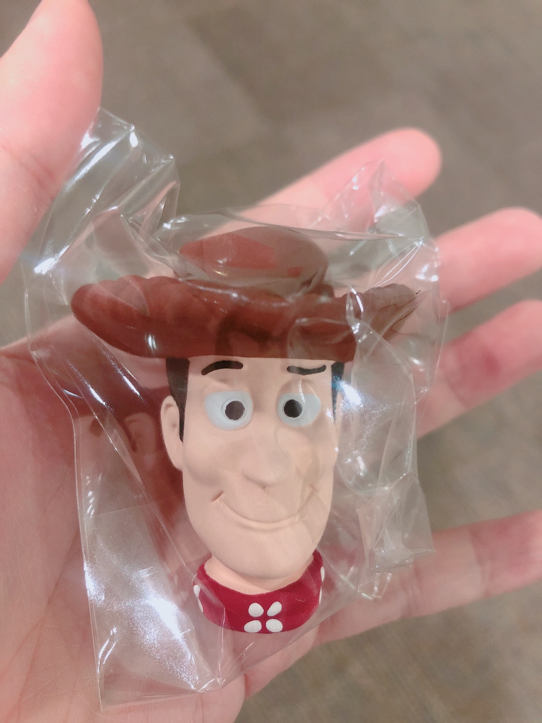 차에 우디