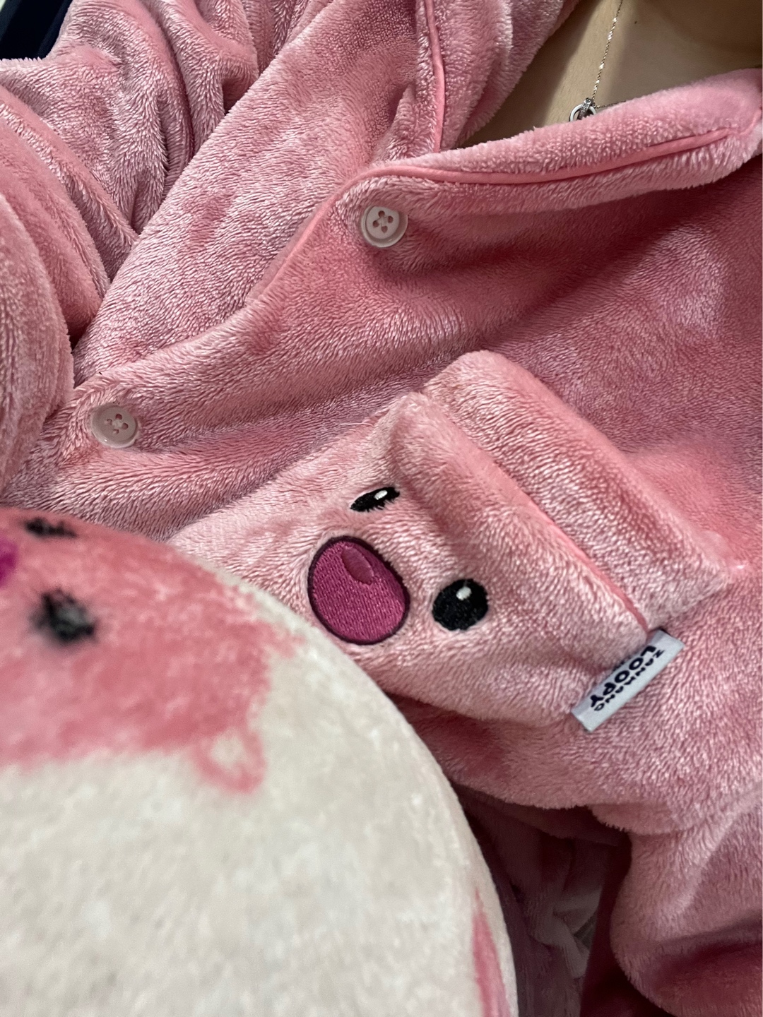 오늘은 루피로
