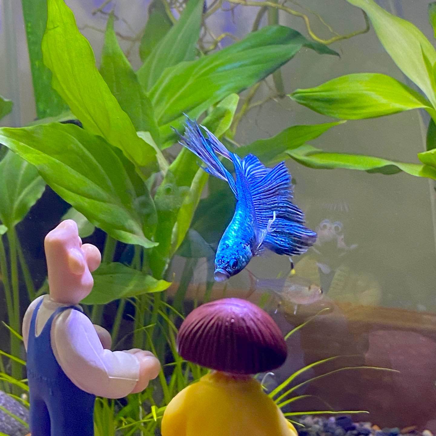 💙아쿠아리움 데이트💙