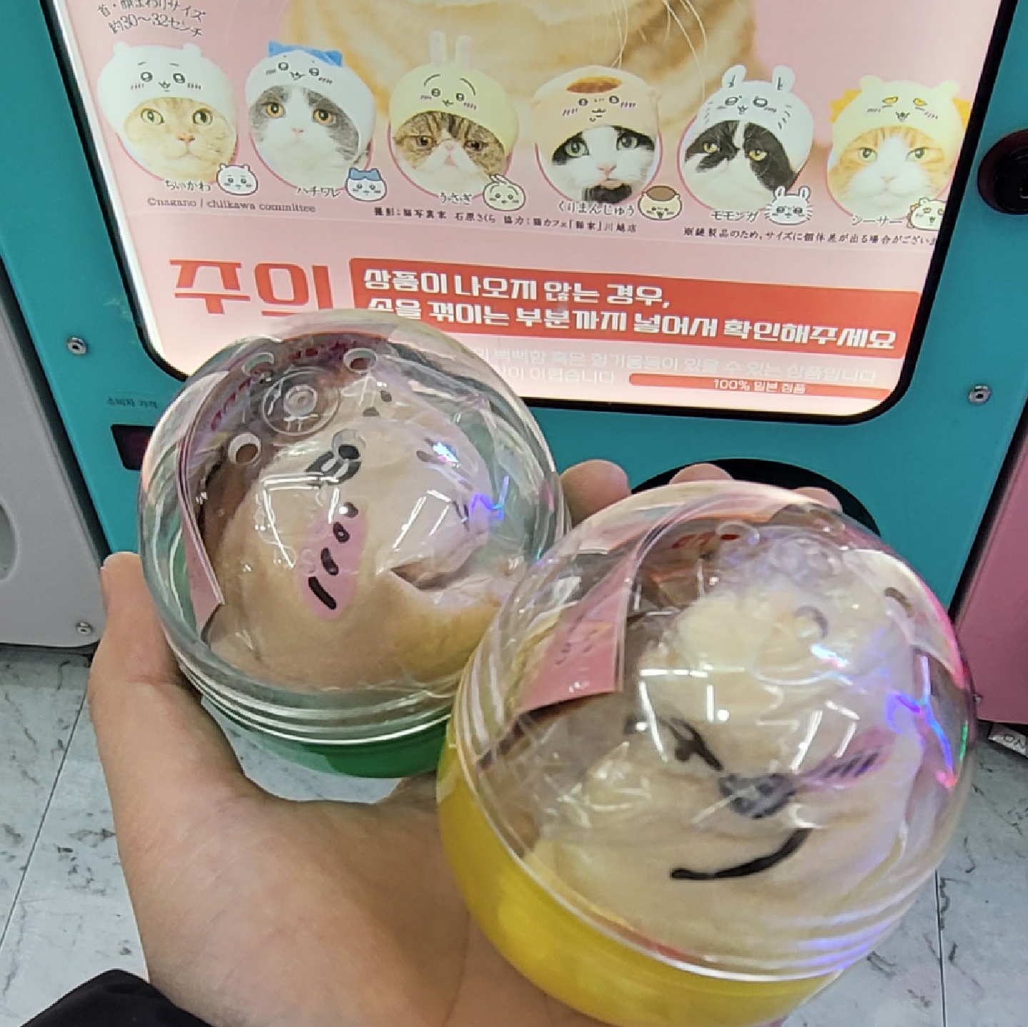 🎀치이카와(먼작귀) 고양이 모자🎀